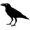 noun-crow-25964